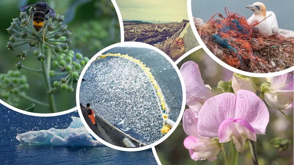 biodiversité